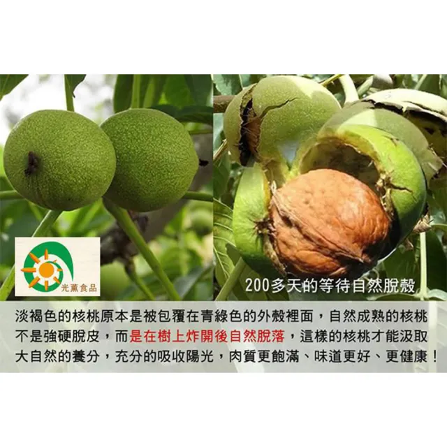 【Guang Xun 光薰】五包組 原味紙皮核桃(無農藥核桃 伴手禮 原味無調味堅果 春節送禮首選 0負擔養生零食