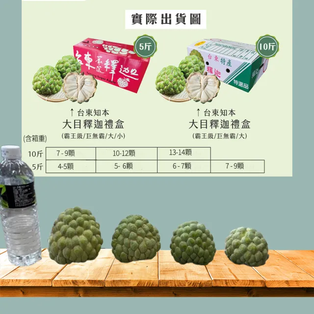 【初品果】台東知本大目釋迦含箱重10斤7-9顆x1箱(產地直送/禮盒/送禮