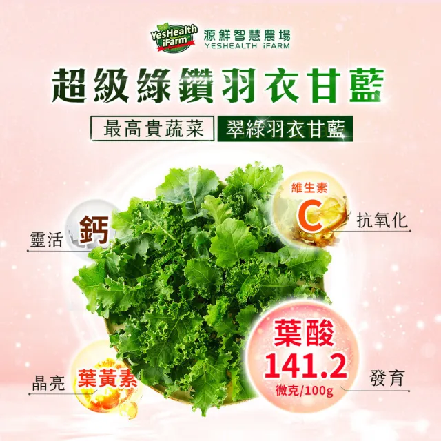 【源鮮智慧農場】超值明星綜合組-180g x 4盒 (生菜｜生菜沙拉｜水耕蔬菜｜蔬菜｜水耕生菜沙拉)
