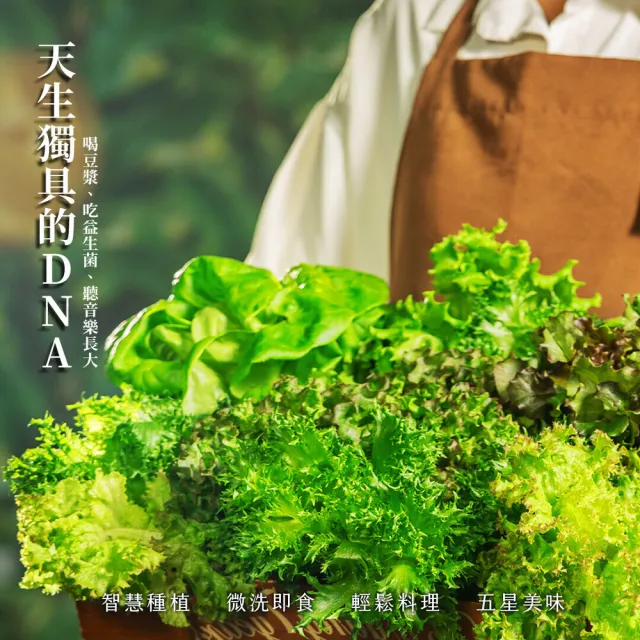【源鮮智慧農場】超值明星綜合組-180g x 4盒 (生菜｜生菜沙拉｜水耕蔬菜｜蔬菜｜水耕生菜沙拉)