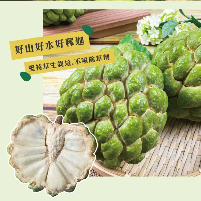 【初品果】台東知本大目釋迦禮盒含箱5斤6-7顆x1盒(送禮/禮盒/水果禮盒)