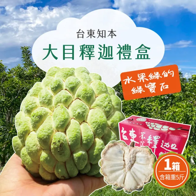 【初品果】台東知本大目釋迦禮盒含箱5斤4-5顆x1盒(送禮/禮盒/水果禮盒)