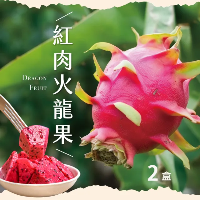 【初品果】台南白河紅肉火龍果含箱5斤6-9顆x2盒(含豐富紅甜花素_清甜多汁)