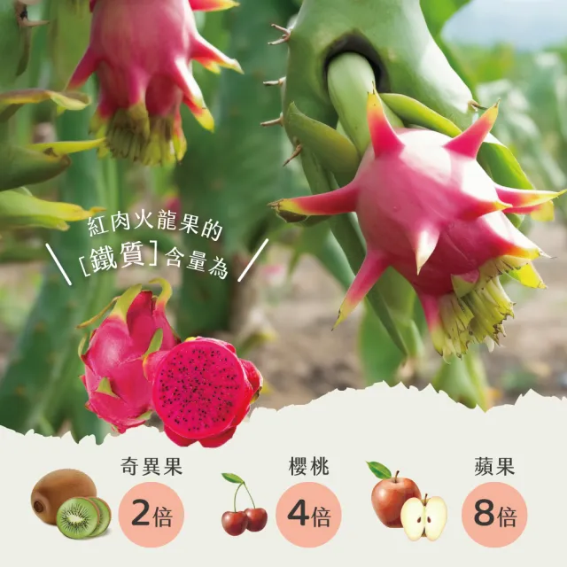 【初品果】台南白河紅肉火龍果含箱5斤6-9顆x1盒(含豐富紅甜花素_清甜多汁)