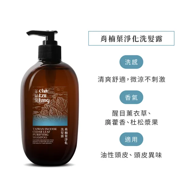 【茶籽堂】肖楠葉控油淨化組｜洗髮露500mL+頭皮噴霧50mL(清爽微涼/頭皮異味/調理油脂)