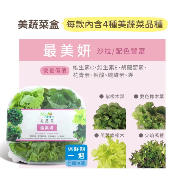 【NICE GREEn 美蔬菜】美蔬菜盒4入含運組送4包沙拉醬(萵苣 生菜 沙拉 蔬菜 防疫健康組)