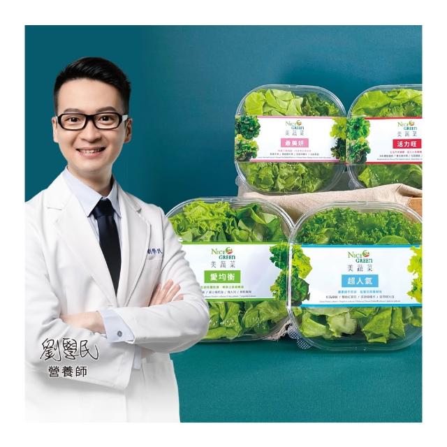 【NICE GREEn 美蔬菜】美蔬菜盒6入免運組送6包沙拉醬(萵苣 生菜 沙拉 蔬菜 防疫健康組)