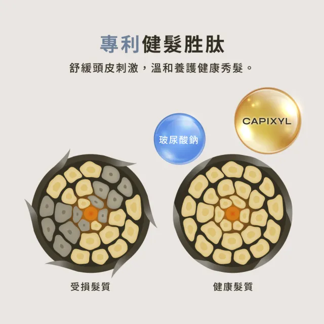 【HD】健髮胜月太護髮乳490mL 2入組 HD好日生醫 草本潤髮乳 中西醫雙重養護 超快出貨