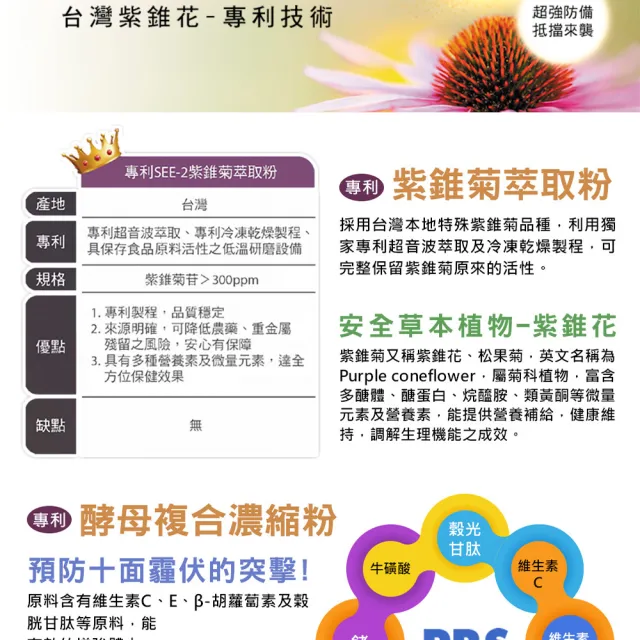 【草本之家】倍速清專利紫錐花膠囊1入組(60粒/入專利酵母.綠蜂膠.柑橘.魚腥草.啤酒酵母.紫錐菊)