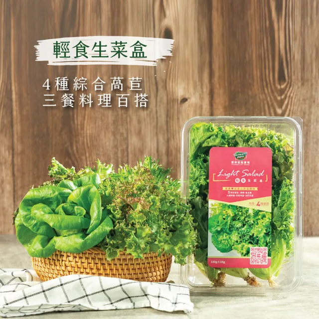 【源鮮智慧農場】芝麻葉生菜沙拉箱 (芝麻葉｜生菜沙拉｜水耕蔬菜｜蔬菜｜水耕生菜沙拉)