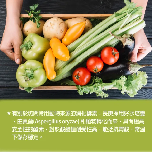 【長庚生技】綜合消化酵素(90錠/瓶)