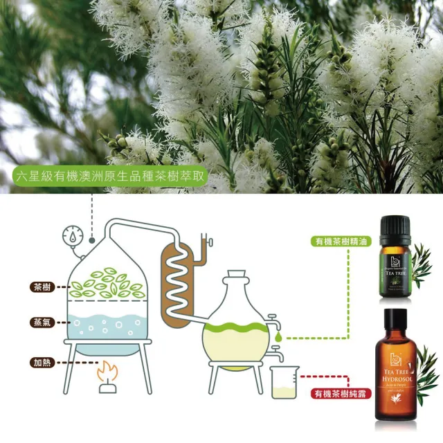 即期品【Bonnie House 植享家】雙有機茶樹純露50ml