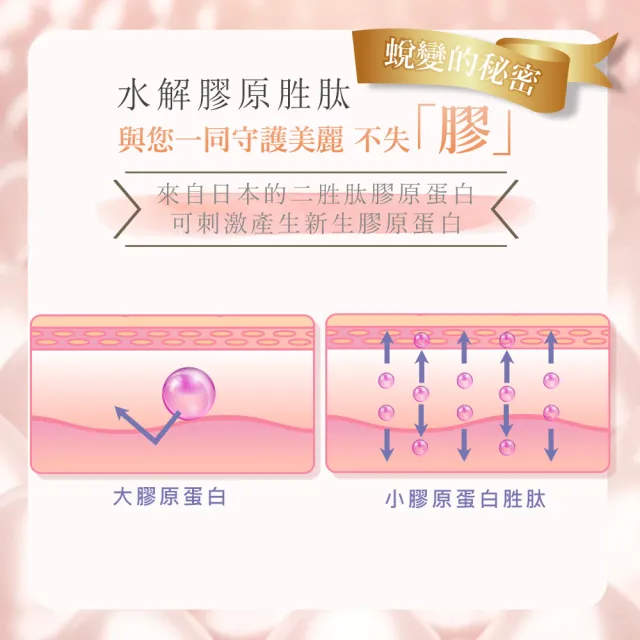 【Bioline 星譜生技】Go漾妍_紅石榴膠原蛋白2盒(30顆/盒)紅石榴多酚.彈力蛋白.玄米賽洛美萃取.鋅.C.)