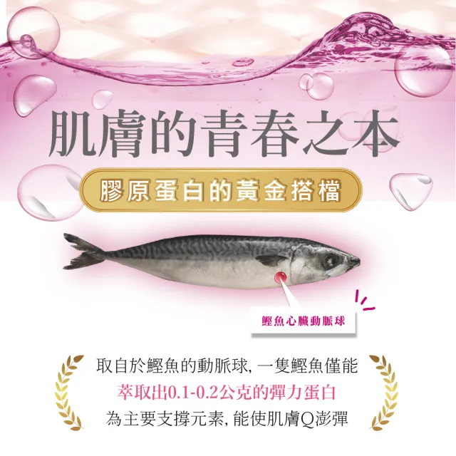 【Bioline 星譜生技】Go漾妍_紅石榴膠原蛋白6盒(30顆/盒)(紅石榴多酚.彈力蛋白.玄米賽洛美萃取.鋅.C.)
