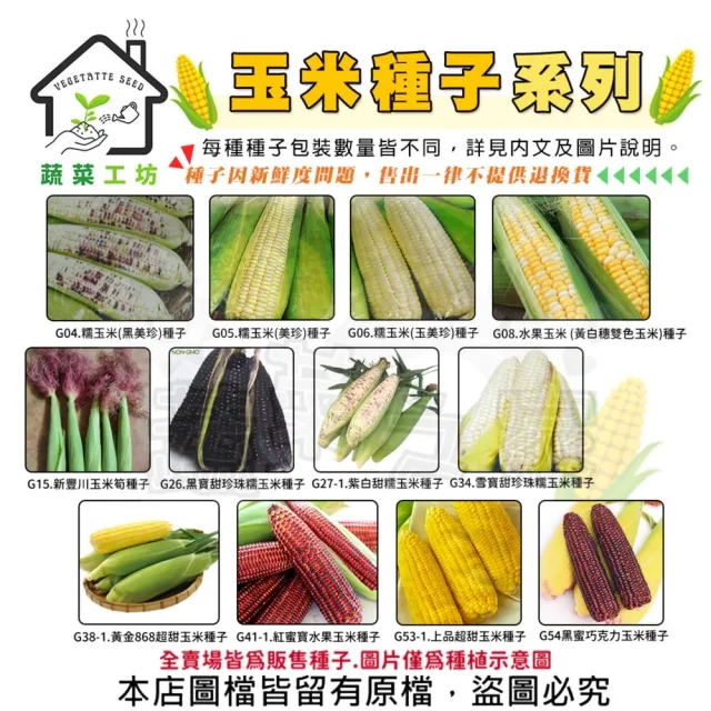 【蔬菜工坊】玉米種子系列-各包裝數量詳見內文及圖片說明(水果玉米 玉米筍 糯玉米 超甜玉米)