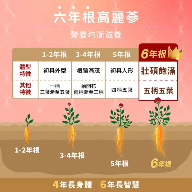 【華陀扶元堂】華陀Enjoy日日飲-人蔘精1袋組(10ML/50入/袋;麥蘆卡蜂蜜/人蔘皂苷/六年蔘/補氣)中秋禮盒