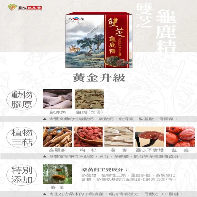 【華陀扶元堂】雙芝龜鹿精3盒組(9瓶/盒;陳美鳳代言-軟骨素/桑黃子)中秋禮盒