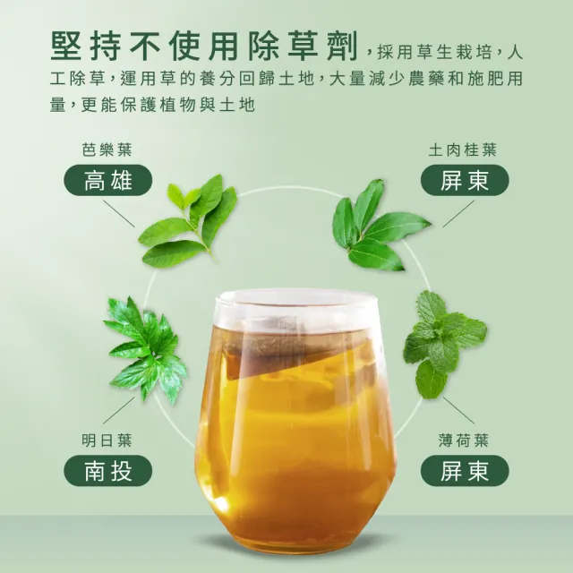 【Dr. Ginger 薑博士】芭樂葉清漾茶1袋組(2.5g/10包/1袋)