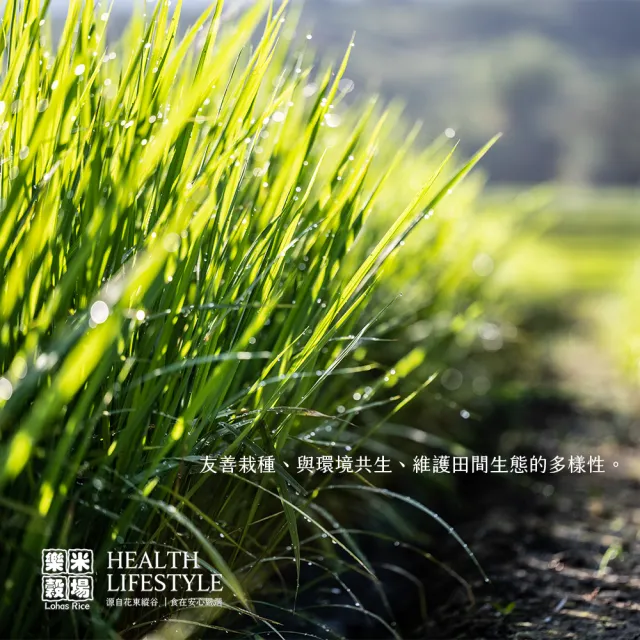 【樂米穀場】花蓮富里契作生態米6kgx2(CNS 一等契作好米)