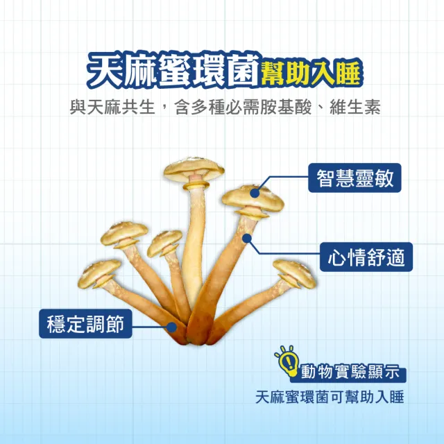 【順天本草】長大人成長膠囊男方 黃金御膳超值組-60顆/盒X2 (成長關鍵、順天堂集團、調整體質)