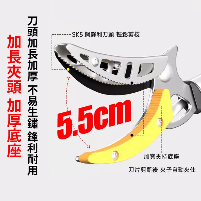 （派躍運動)高空摘果器 1.89-5.5米4件套+刀頭 多檔調節(摘果器 高枝剪 伸縮高枝剪 採果剪 高空剪）