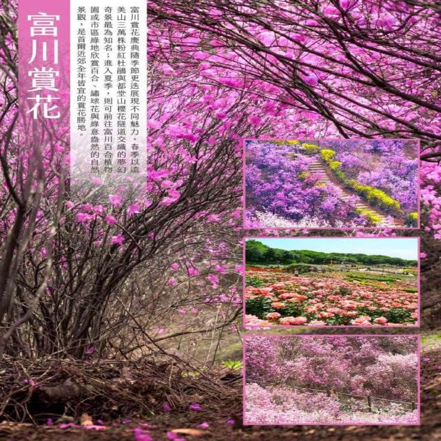 【找到了旅遊】找到了!旅遊首爾特惠促銷五日8-10月易斯達航空(下單免領隊小費)