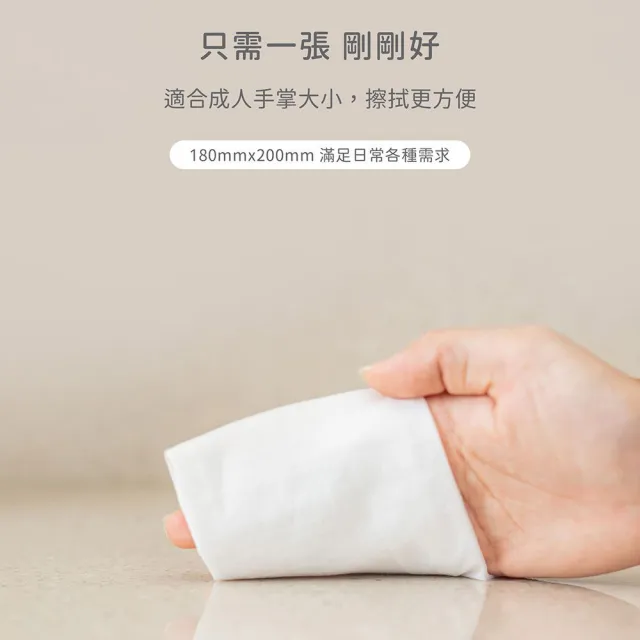 【NUK】NUK濕紙巾含蓋80抽X6包+20抽x5包