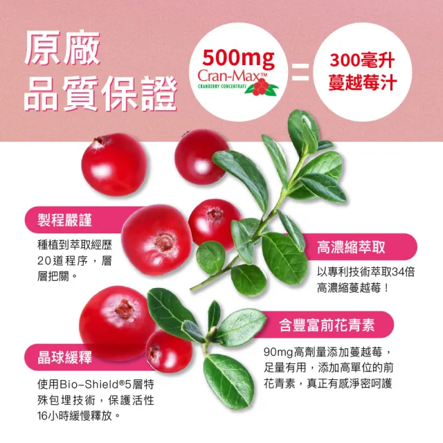 【Angel LaLa 天使娜拉】美國專利Cran-Max蔓越莓甘露糖益生菌膠囊x3盒(30顆/盒/益生菌/私密保養/賴雅妍)