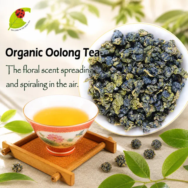 【鑫龍源】有機茶100%台灣高山茶葉4罐組杉林溪有機烏龍茶50g/罐-共200g｜清香青茶｜有機驗證｜附提袋）