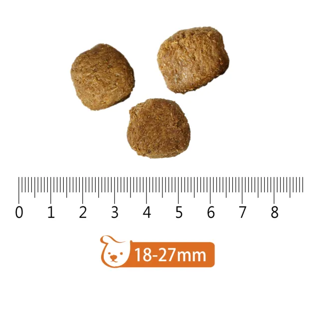 【Go!】口腔+免疫保健 雞肉鮭魚 4磅 成/老犬天然糧 (狗糧 狗飼料 成犬 特殊大顆粒 口臭 牙垢 後生元)