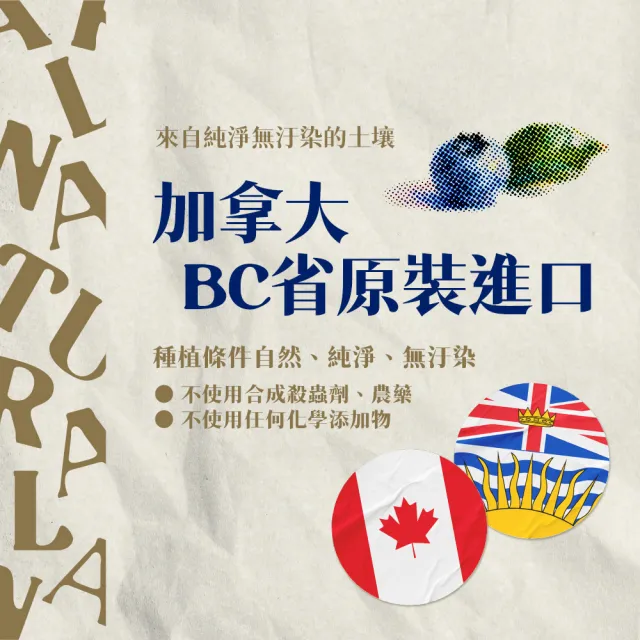 【自然思維】加拿大藍莓原汁350mlx12入-箱購(無糖/100%藍莓汁/原裝進口)