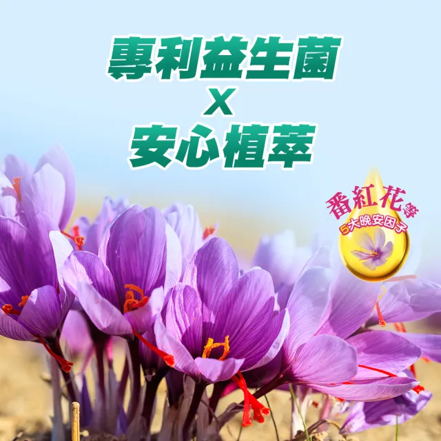 【CENTRUM 善存】舒眠益生菌膠囊 5盒組(60粒/盒-5大晚安因子 專利番紅花萃取 芝麻素 GABA 色胺酸)
