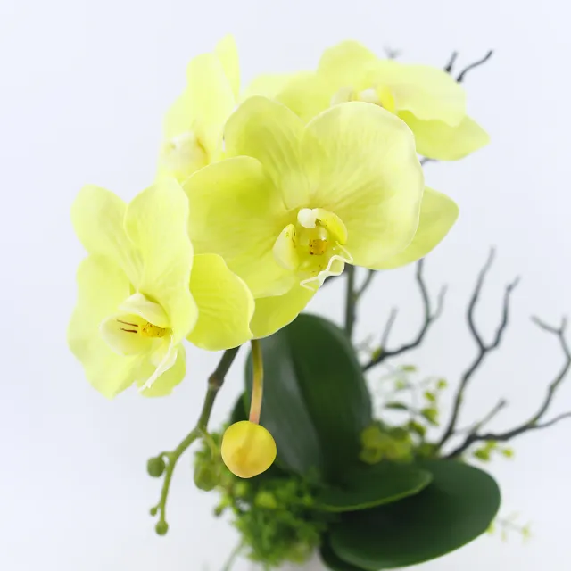 【HUGO DECO 榆果傢飾】綠蝴蝶蘭香氛花藝(仿真花/禮物/佈置/人造花/花禮)