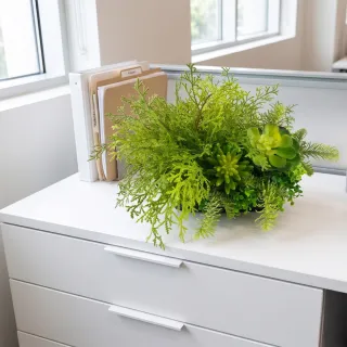 【HUGO DECO 榆果傢飾】高擬真蕨草多肉植物盆栽(擬真植物/禮物/綠化/永不凋零/佈置/蕨類)