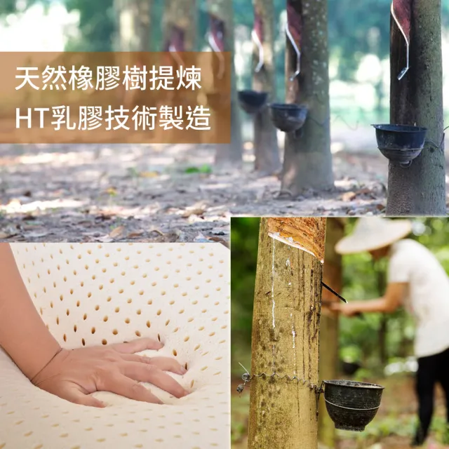 【LooCa】雙人厚5cm HT專利乳膠床墊-搭贈法國防蹣防蚊表布5x6.2尺(三款任選)