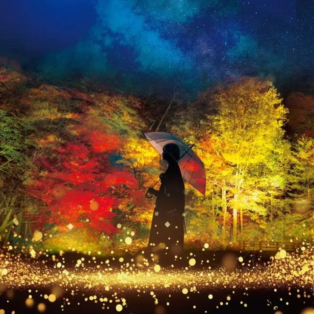 【喜鴻假期】★金秋楓紅北海道５日★星野渡假村、黑岳纜車、紅葉谷、旭山動物園、敘敘苑、螃蟹溫泉