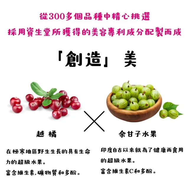 【SHISEIDO 資生堂】頂級The Collagen膠原蛋白豪華錠12種成分(126粒/包)