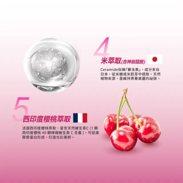 【BTP】亮妍頂級膠原蛋白飲 4盒-10入/盒(女大推薦/NIPPI膠原蛋白/燕窩酸/CoQ10/專利小分子/神經醯胺)