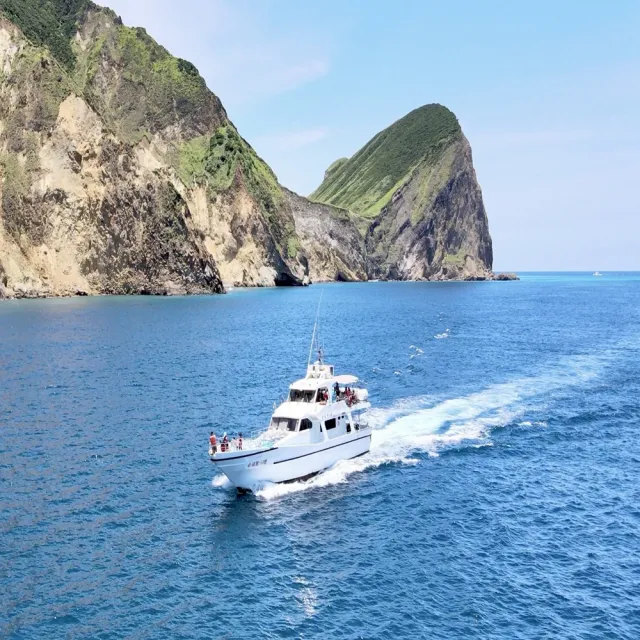 宜蘭新福豐168賞鯨旅遊｜兒童票★賞鯨＋繞龜山島＋登龜山島(三合一)