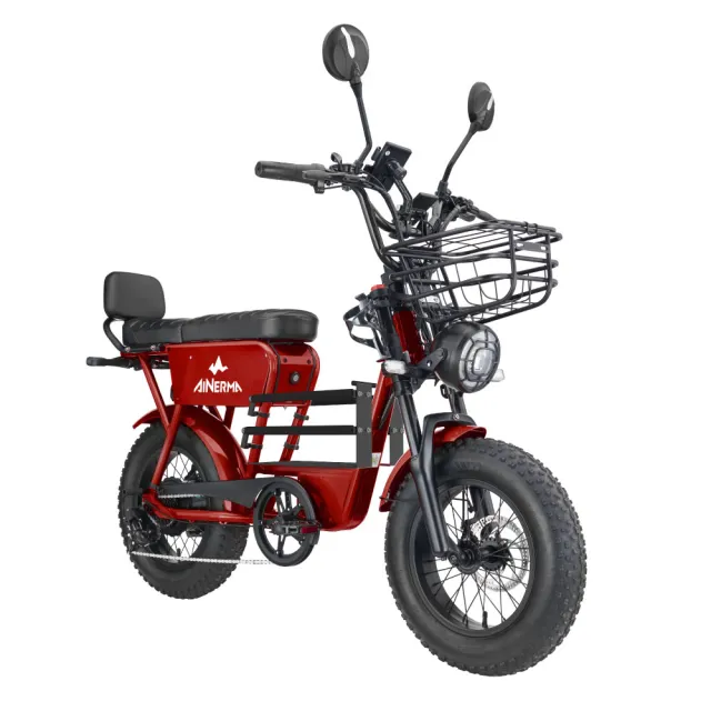 【AINERMA 安納瑪】Jiisted 佶司特 低跨點胖胎電動輔助自行車
