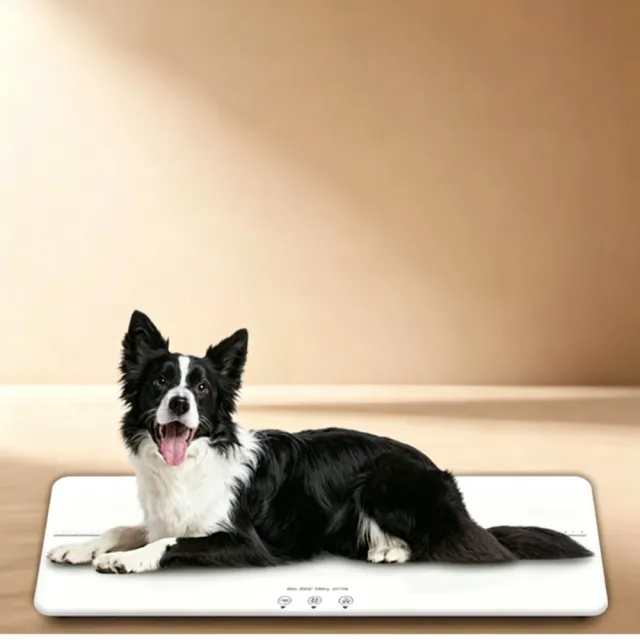 【IPSKY】大型犬專用體重秤 寵物智能磅秤 寵物電子秤 寵物體重秤 小貓小狗電子秤 10g精準稱重寵物店家用