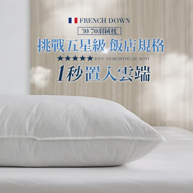 【HOYACASA 禾雅寢具】法國飯店羽絨枕/德國防螨天絲枕/獨立筒枕任選2入組(3070羽絨枕/物理防螨抗菌)