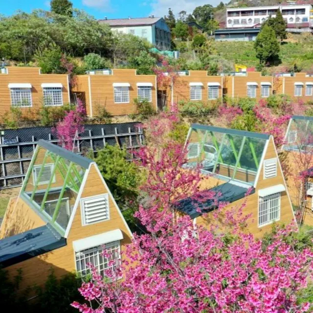 南投清境基路伯營區｜星空玻璃蜂箱露營屋★4大送2位12歲以下免費住(加大雙人床.獨立衛浴)