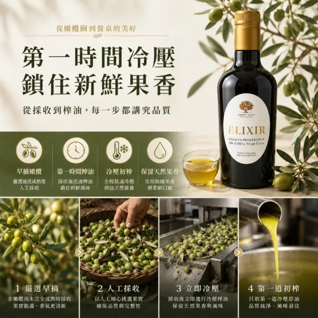 【CUADRAT VALLEY】艾利爾特級冷壓初榨橄欖油 500ml(初入口帶有柔和甜感)雙11