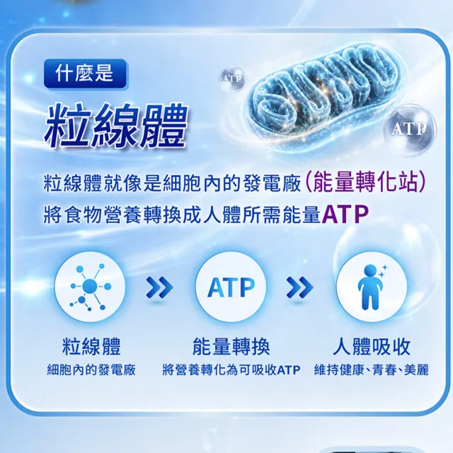 【PP 石墨烯】石墨烯塑崩粒線褲2件 (嘎嫂二伯推薦 循環靴型塑身褲)