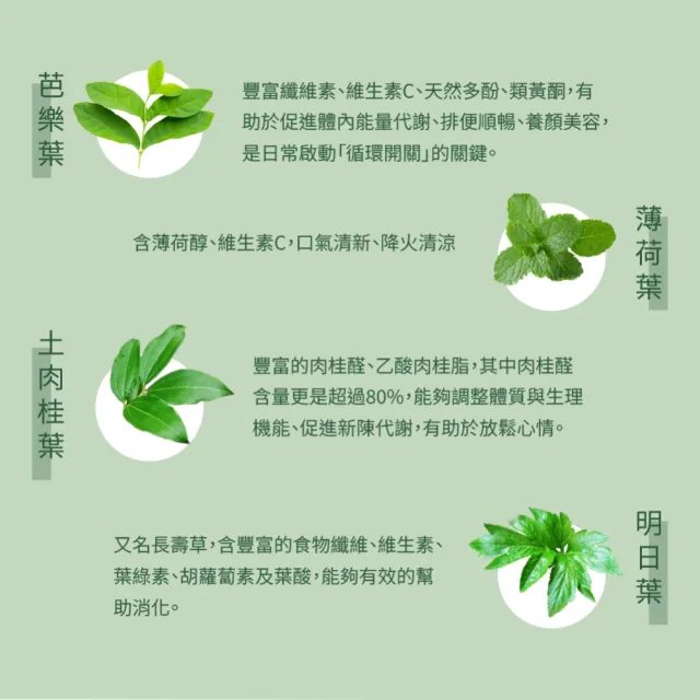 【Dr. Ginger 薑博士】芭樂葉清漾茶4袋組(2.5g/10包/袋)