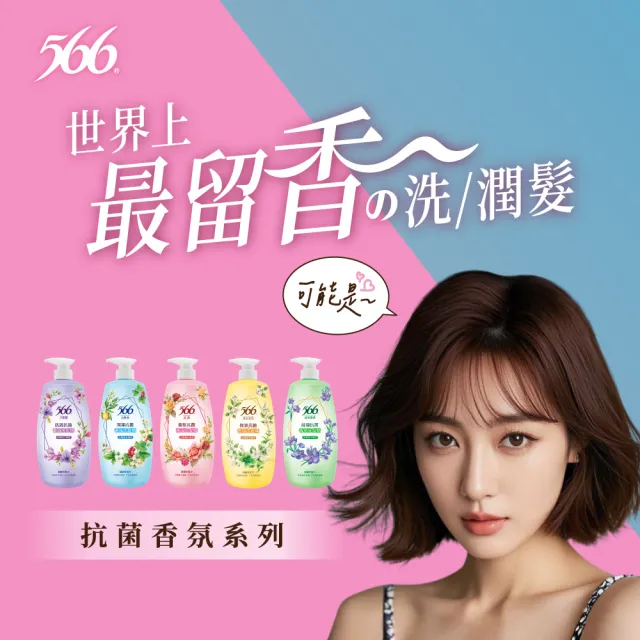 【566】抗菌香氛洗髮精800gx5(琥珀麝香/金朵茉莉保濕/白麝香潤澤/小蒼蘭抗屑/玫瑰養髮 任選)
