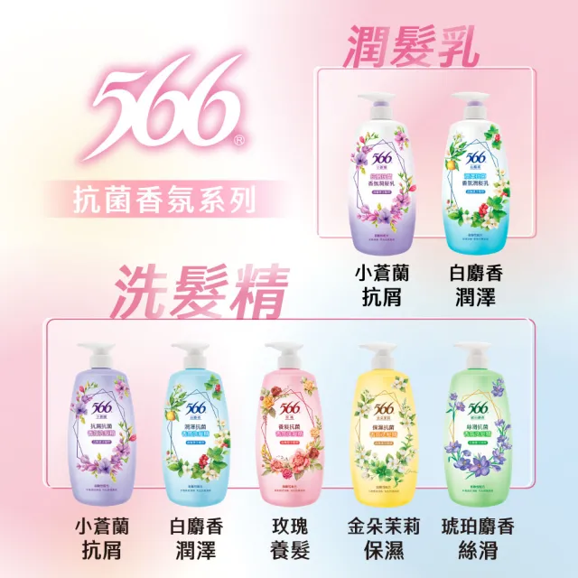 【566】抗菌香氛洗髮精800gx5(琥珀麝香/金朵茉莉保濕/白麝香潤澤/小蒼蘭抗屑/玫瑰養髮 任選)