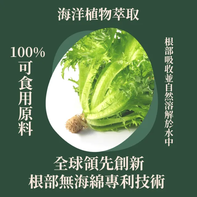【源鮮智慧農場】地中海蔬食生菜箱180g x 4袋(生菜｜生菜沙拉｜水耕蔬菜｜蔬菜｜水耕生菜沙拉)