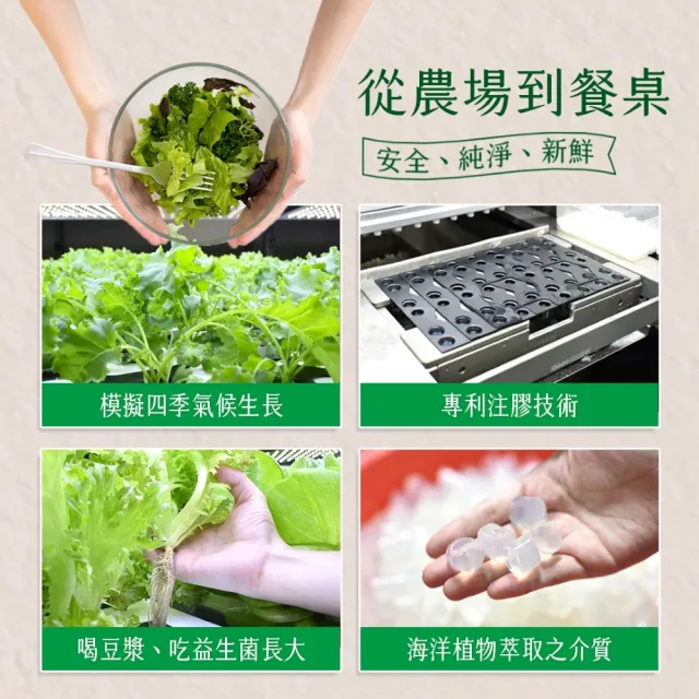 【源鮮智慧農場】地中海蔬食生菜箱180g x 4袋(生菜｜生菜沙拉｜水耕蔬菜｜蔬菜｜水耕生菜沙拉)